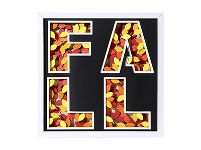 字母fall
